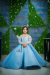 Frozen Premium