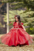 Princess Long Gown - Image 6